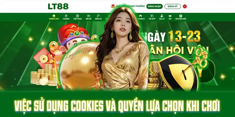 Việc sử dụng cookies và quyền lựa chọn khi chơi